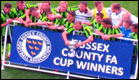 Sussex Senior Cup Final 2011
