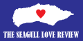 seagull love review fanzine