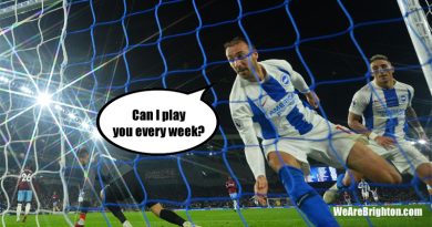 Brighton and Hove Albion beat West Ham United 1-0 at the Amex through a Glenn Murray goal