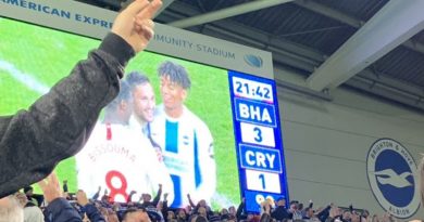 Brighton and Hove Albion bet arch rivals Crystal Palace 3-1 at the Amex despite playing for over an hour with 10 men