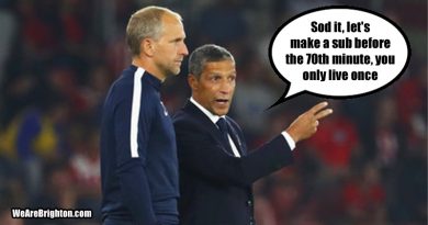 Chris Hughton's two substitutions won the game for Brighton and Hove Albion against Huddersfield Town