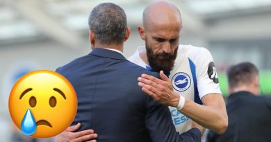 Chris Hughton and Bruno were involved in their last Brighton match as the Albion lost 4-1 to Manchester City