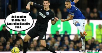 Maty Ryan was donating $500 to the Australian Bushfire Fund for every save in the Premier League and he made several as Brighton lost 1-0 at Everton
