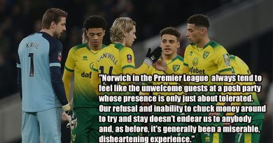 My Football Writer have not enjoyed Norwich City's Premier League experience in the 2019-20 season