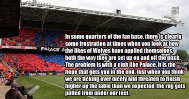 The Eagles Beak explain why Crystal Palace are not yet established as a top 10 Premier League side eight seasons into their time in top flight