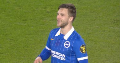 Joel Veltman was the only Brighton player to come out of the 1-2 defeat to Crystal Palace with a score to be proud of from the WAB player ratings