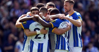Brighton secured their biggest ever top flight win by beating Wolves 6-0 at the Amex