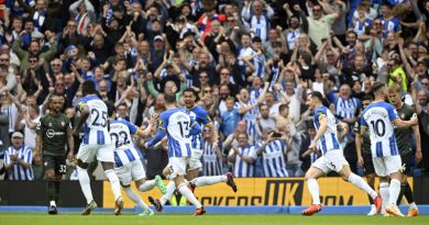 Brighton beat Southampton 3-1 at the Amex to secure Europa League football for the first time in their history