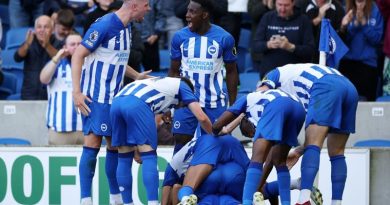 Brighton beat Bournemouth 3-1 at the Amex to get back to winning ways