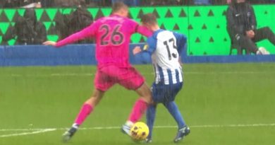 Pascal Gross received an elbow to the face from Joao Palhinha during Brighton 1-1 Fulham