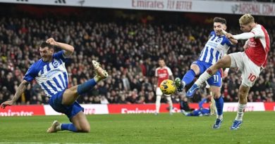 Lewis Dunk topped the player ratings as Brighton lost 2-0 away against Arsenal