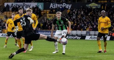 Jason Steele missed a good chance to score an equaliser as Brighton lost 1-0 in the FA Cup to Wolves