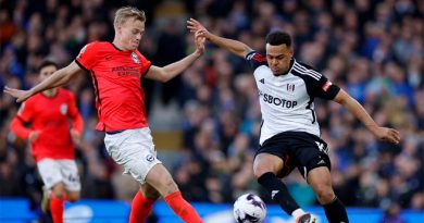 Jan Paul van Hecke topped the Fulham 3-0 Brighton ratings for his performance in an unusual midfield role