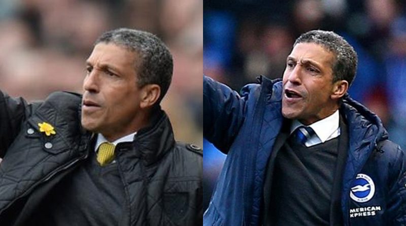 Chris Hughton managing Norwich City and Brighton and Hove Albion