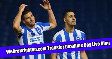 Tomer Hemed and Beram Kayal could be set to depart Brighton on loan for Championship clubs