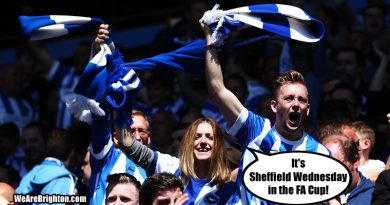 Brighton fans celebrate drawing a massive club like Sheffield Wednesday in the third round of the FA Cup