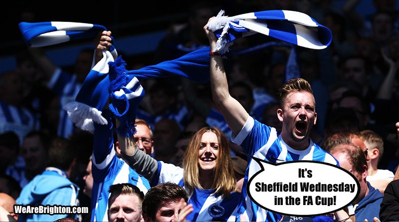 Brighton fans celebrate drawing a massive club like Sheffield Wednesday in the third round of the FA Cup