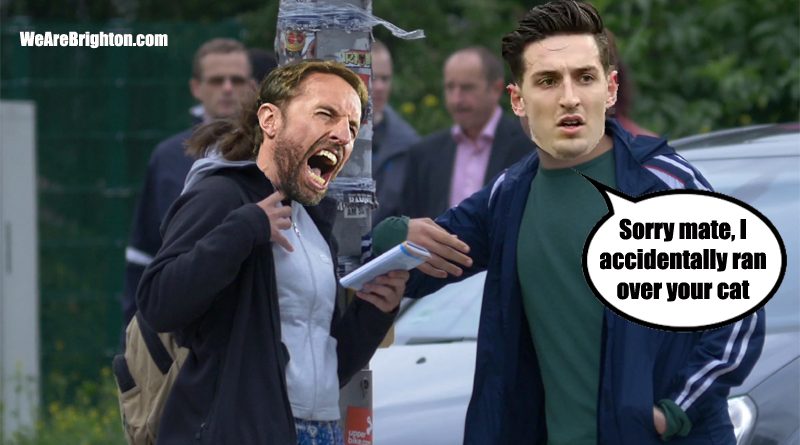 Gareth Southgate has not picked Lewis Dunk for another England squad, leading to rumours that Dunk accidentally ran over Southgate's cat