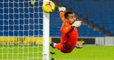 Robert Sanchez has been a revelation in goal for Brighton since taking over as number in December from Maty Ryan