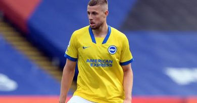 Brighton have failed to win any match so far this season in which Adam Webster has been absent
