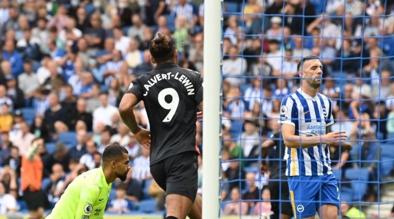 Dominic Calvert-Lewin scored a penalty for Everton against Brighton