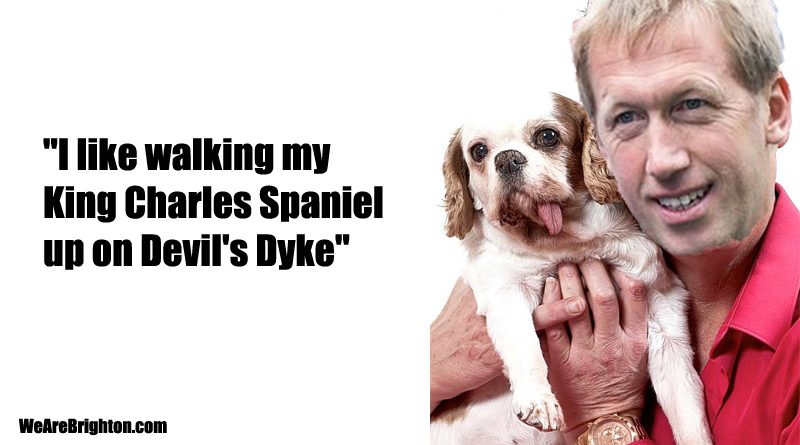 Graham Potter told the Brighton & Hove Albion Fans' Forum 2021 that he likes walking his King Charles Spaniel up on Devil's Dyke