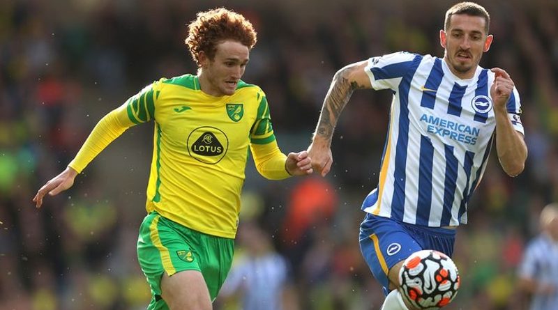 Lewis Dunk played a vital role in helping Brighton pick up a point from a 0-0 draw at Norwich