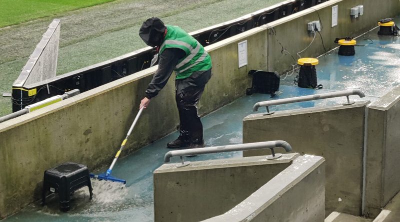 A steward at the Amex tries to sweep away the rain during Brighton 0-0 Arsenal