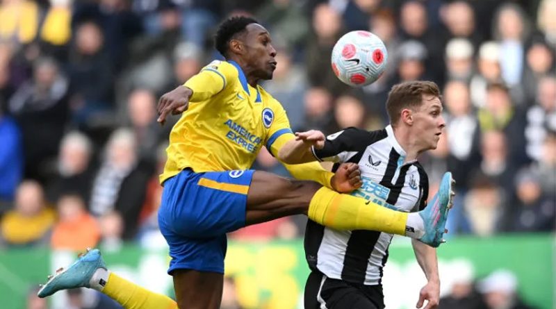 Danny Welbeck in action for Brighton against Newcastle United