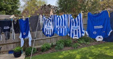 Brighton & Hove Albion replica shirts hung on a washing line