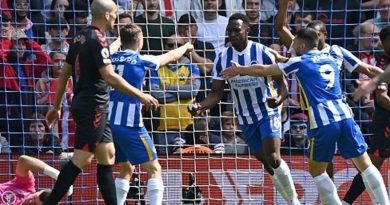 Danny Welbeck celebrates scoring the first Brighton goal at the Amex for 96 days in the 2-2 draw with Southampton