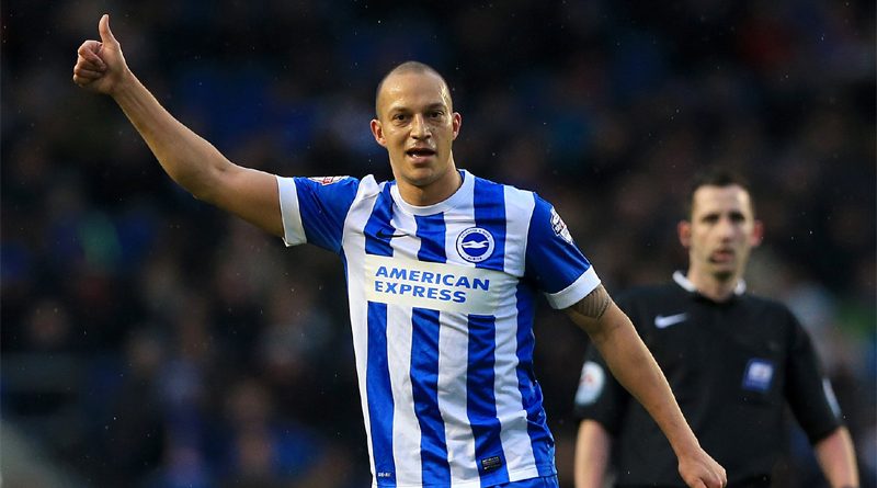 Bobby Zamora has offered his services to Brighton as an attacking coach