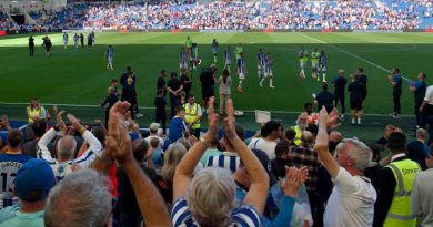The Amex crowd applaud Brighton after their 5-2 win over Leicester City