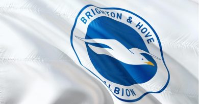 Brighton & Hove Albion crest on a white flag