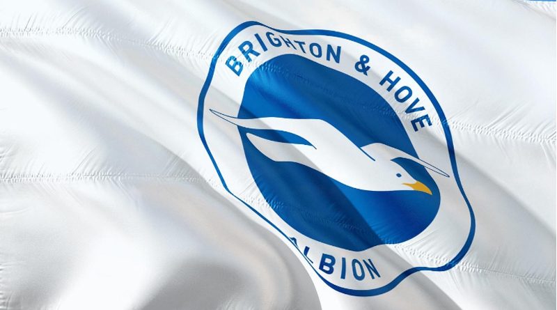 Brighton & Hove Albion crest on a white flag