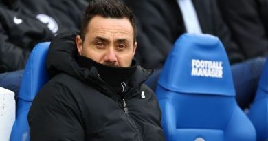 Roberto De Zerbi criticised the standard of refereeing in England after Brighton lost to Fulham at the Amex