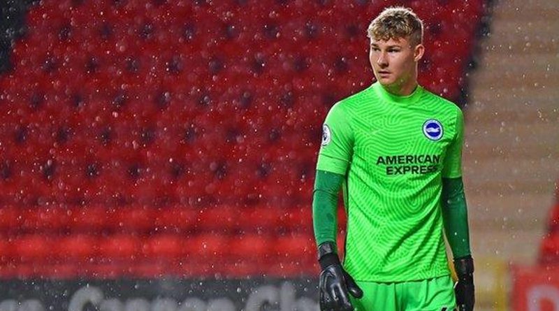 Carl Rushworth has joined Swansea City on loan from Brighton