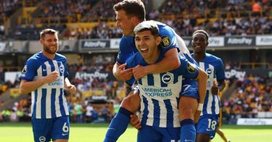 Solly March and Julio Enciso celebrate a Brighton goal against Wolves