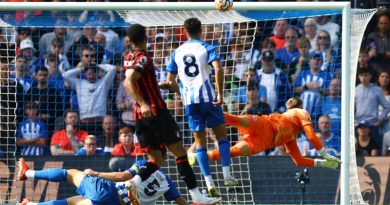 An error from Bart Verbruggen gave Bournemouth the lead against Brighton at the Amex