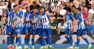 Brighton players celebrate their 3-1 win over Newcastle United