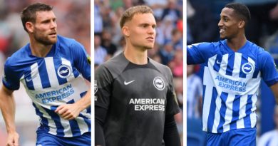 James Milner, Bart Verbruggen and Joao Pedro all signed for Brighton in the summer 2023 transfer window