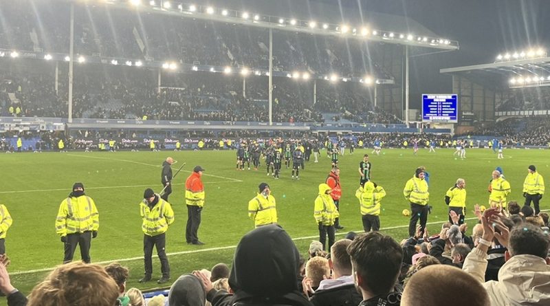 Brighton picked up a useful point from a 1-1 draw at Everton