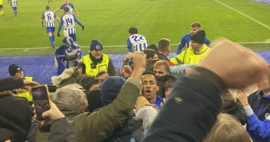 Joao Pedro celebrates his winning goal for Brighton against Marseille with Albion fans