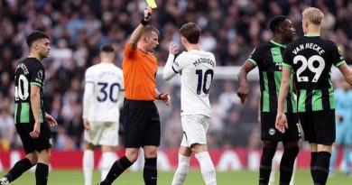James Maddison was not booked for clapping sarcastically in the face of the referee during Spurs 2-1 Brighton