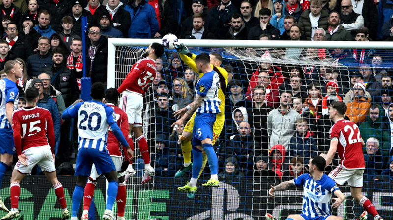Brighton got a much needed win when beating Nottingham Forest 1-0 at the Amex